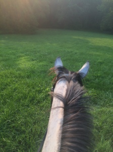 Finished off with a nice little hack through the fields